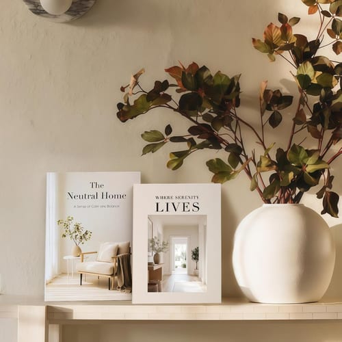 Neutral Decorative Book Boxes